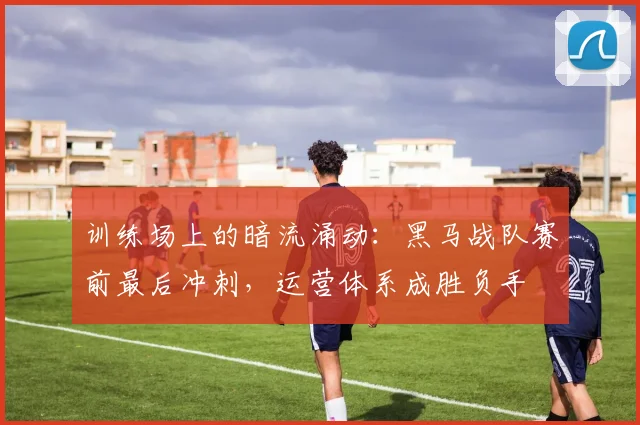 训练场上的暗流涌动:黑马战队赛前最后冲刺,运营体系成胜负手