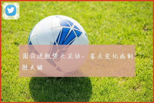 国羽连胜势头正劲，落点变化成制胜关键 - 搜狐体育