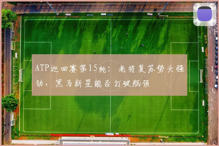ATP巡回赛第15轮:老将复苏势头强劲,黑马新星能否打破瓶颈