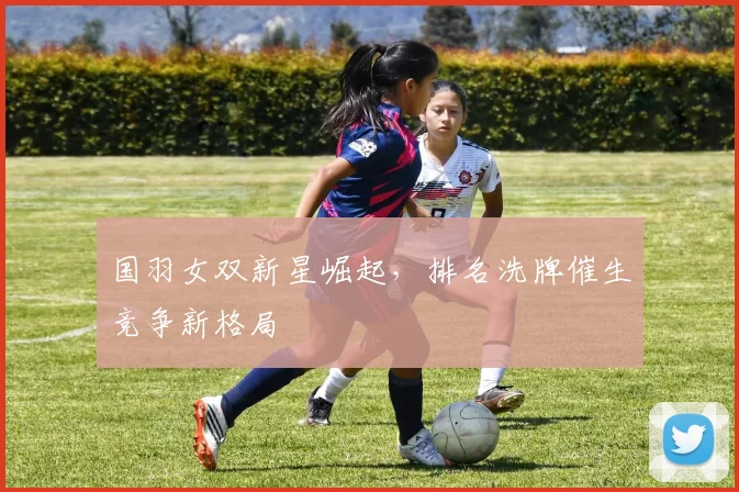 国羽女双新星崛起，排名洗牌催生竞争新格局 - 搜狐体育