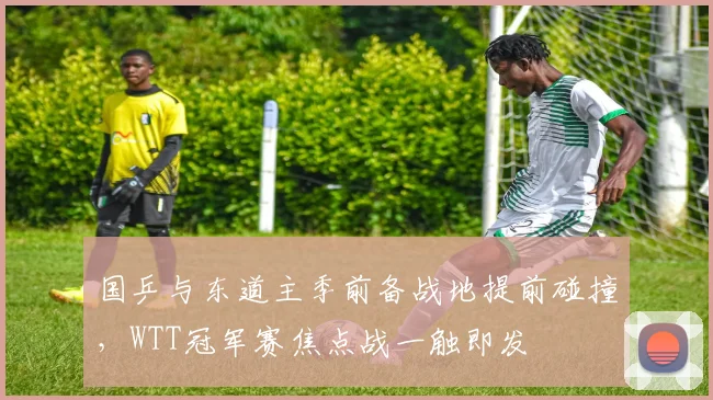 国乒与东道主季前备战地提前碰撞，WTT冠军赛焦点战一触即发 - 搜狐体育