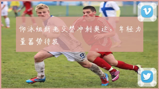 仰泳组新老交替冲刺奥运,年轻力量蓄势待发