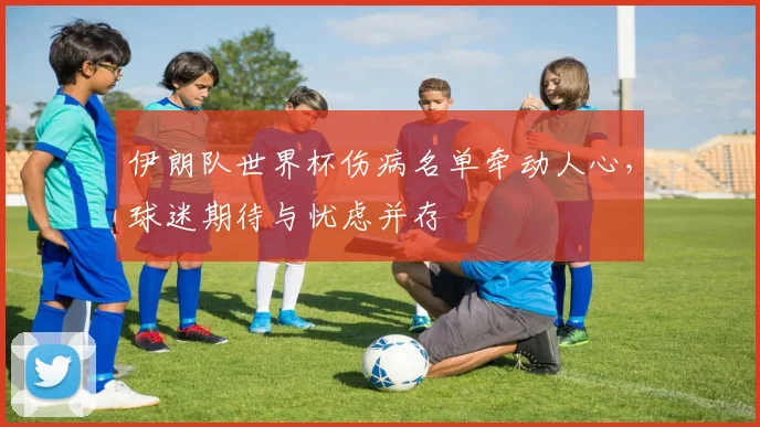 伊朗队世界杯伤病名单牵动人心,球迷期待与忧虑并存