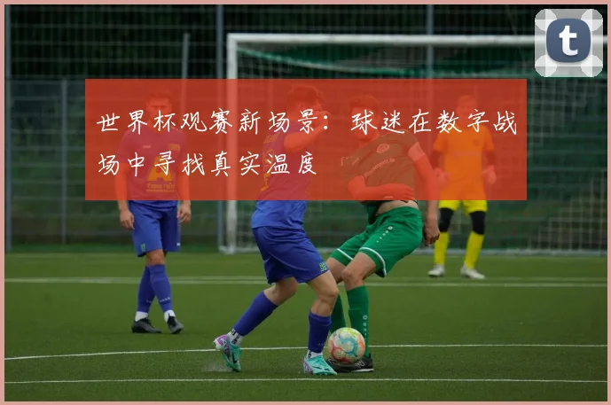 世界杯观赛新场景：球迷在数字战场中寻找真实温度
