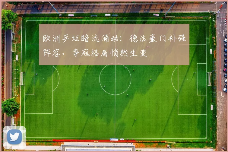 欧洲乒坛暗流涌动:德法豪门补强阵容,争冠格局悄然生变