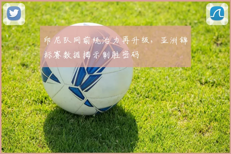 印尼队网前统治力再升级，亚洲锦标赛数据揭示制胜密码 - 搜狐体育